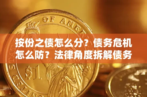 武汉按份之债怎么分？债务危机怎么防？法律角度拆解债务分配与风险自保指南