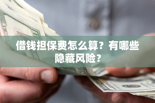 武汉借钱担保费怎么算？有哪些隐藏风险？