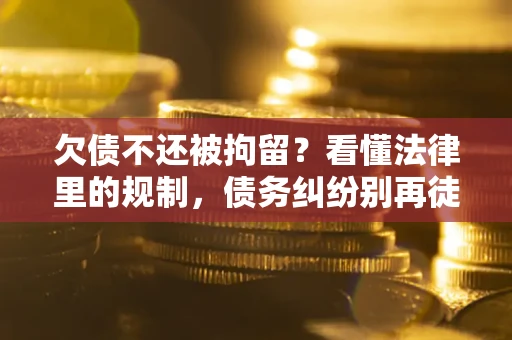 武汉欠债不还被拘留？看懂法律里的规制，债务纠纷别再徒劳奔波