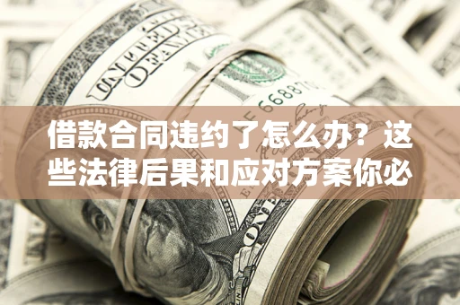 武汉借款合同违约了怎么办？这些法律后果和应对方案你必须知道