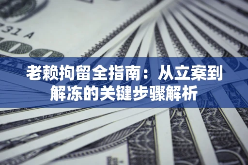 武汉老赖拘留全指南：从立案到解冻的关键步骤解析