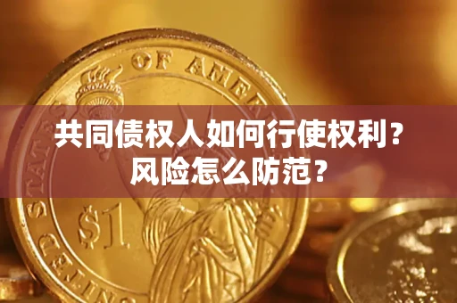 武汉共同债权人如何行使权利？风险怎么防范？