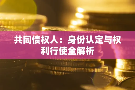 武汉共同债权人：身份认定与权利行使全解析