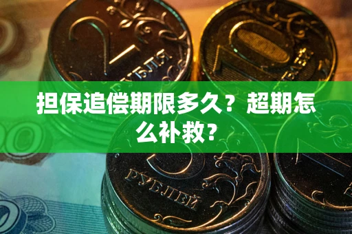武汉担保追偿期限多久？超期怎么补救？