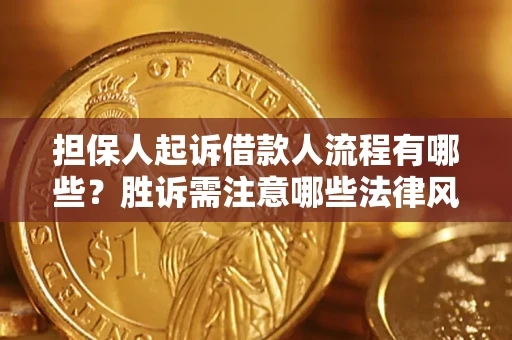 武汉担保人起诉借款人流程有哪些？胜诉需注意哪些法律风险？