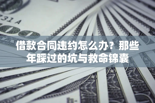 武汉借款合同违约怎么办？那些年踩过的坑与救命锦囊