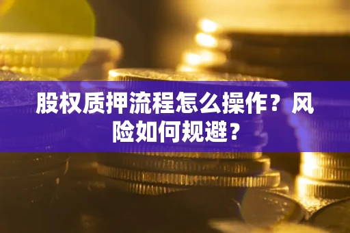 武汉股权质押流程怎么操作？风险如何规避？