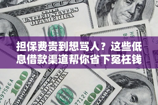 武汉担保费贵到想骂人？这些低息借款渠道帮你省下冤枉钱