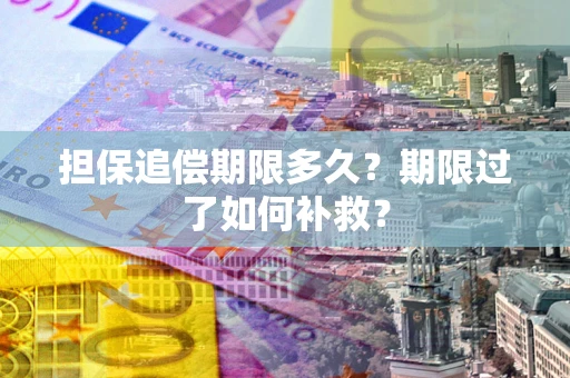 武汉担保追偿期限多久？期限过了如何补救？