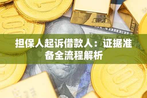 武汉担保人起诉借款人：证据准备全流程解析