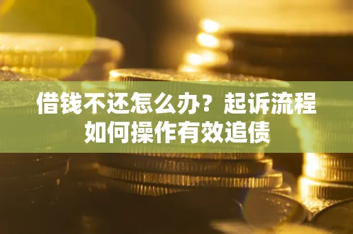 武汉借钱不还怎么办？起诉流程如何操作有效追债