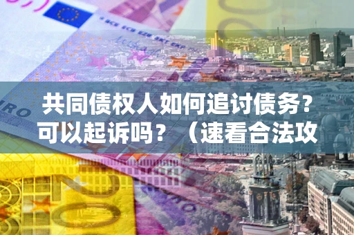 武汉共同债权人如何追讨债务？可以起诉吗？（速看合法攻略）