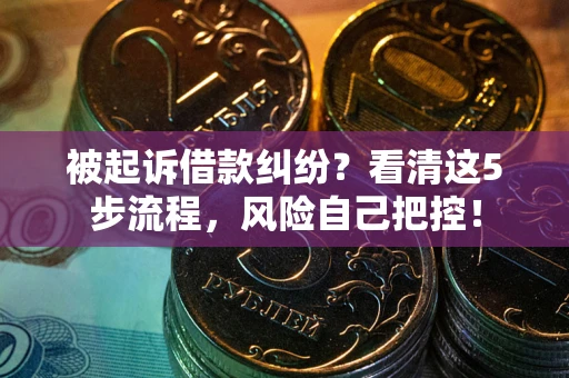 武汉被起诉借款纠纷？看清这5步流程，风险自己把控！