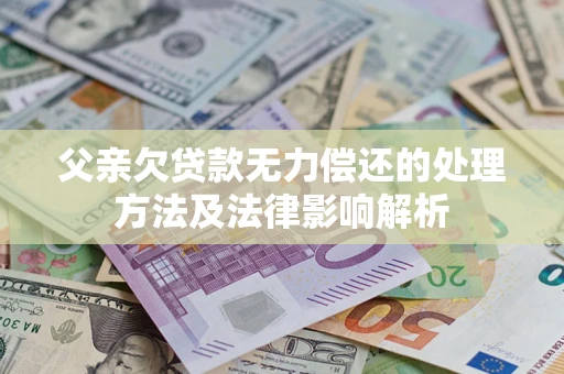 武汉父亲欠贷款无力偿还的处理方法及法律影响解析