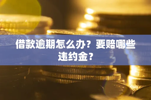 武汉借款逾期怎么办？要赔哪些违约金？