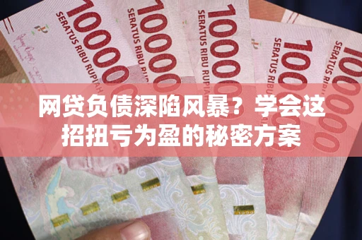武汉网贷负债深陷风暴？学会这招扭亏为盈的秘密方案